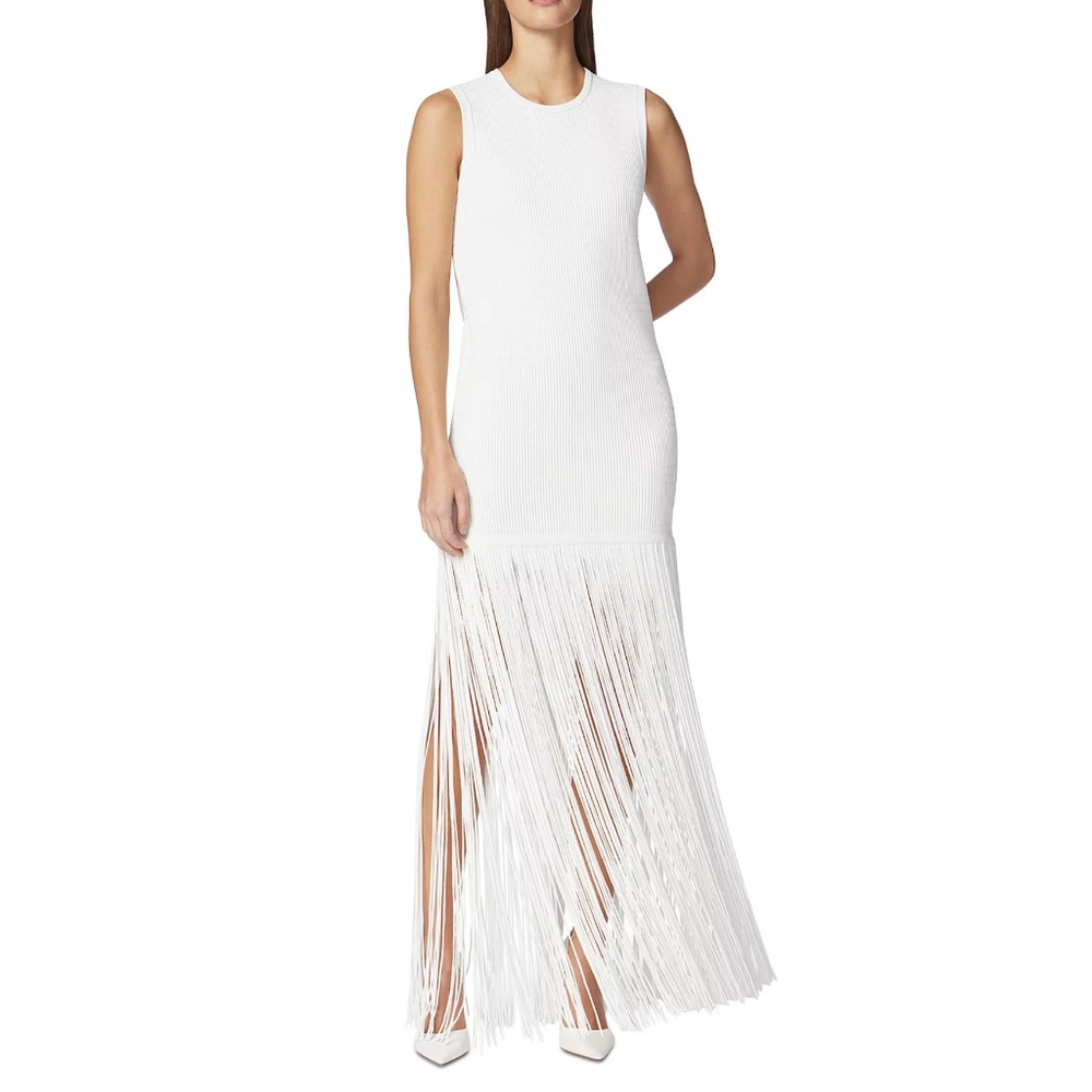 Herve Leger Fringe Gown